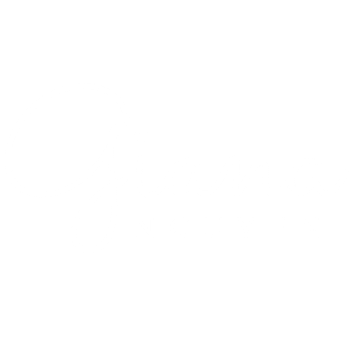 GN logo white